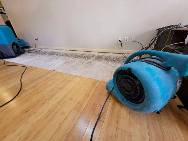 Professional Flood Damage Cleanup technician working in Gibsonton, FL